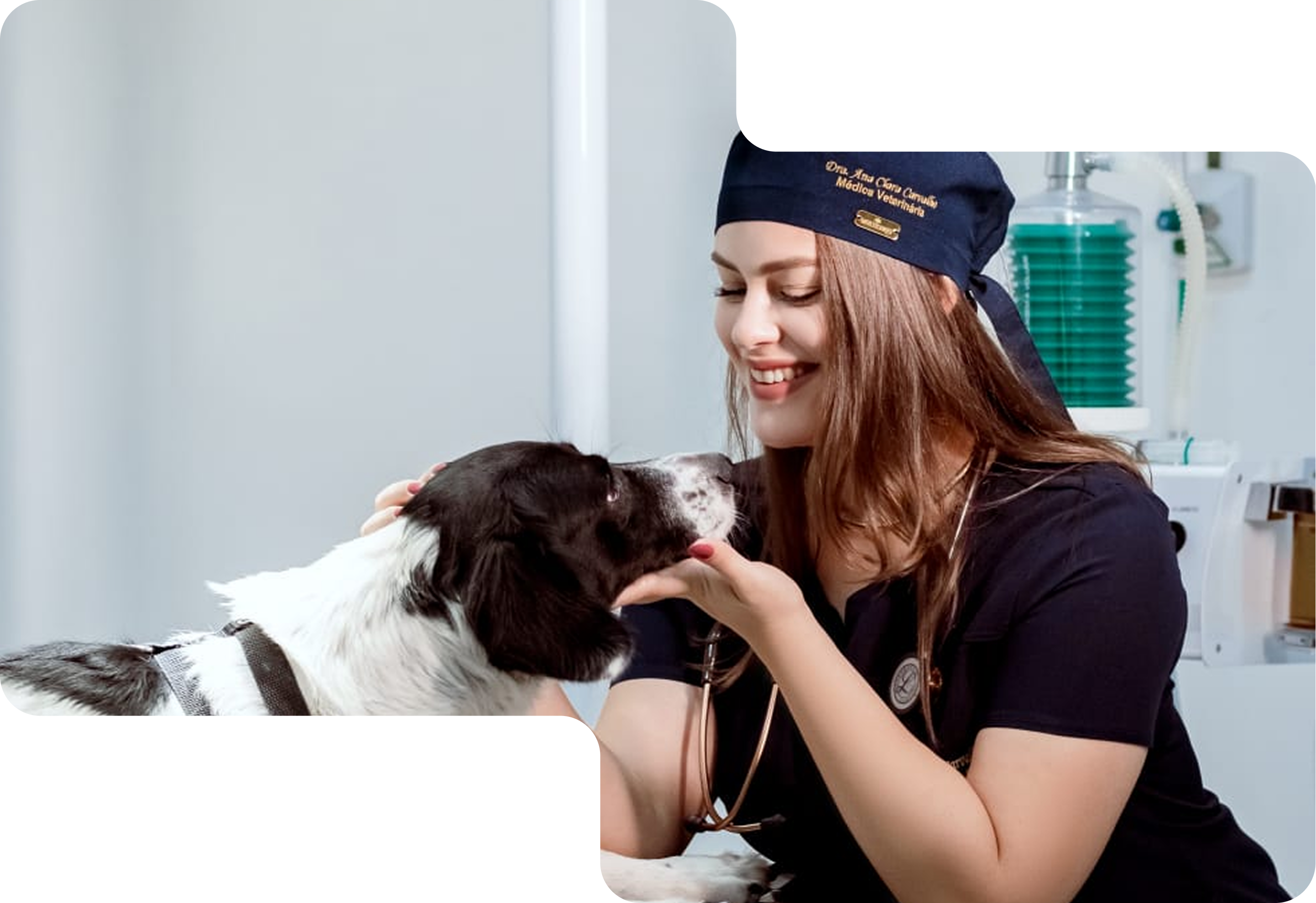 Doutora Stefane segurando as patinhas de um cachorrinho