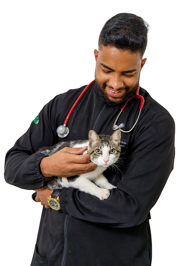 Doutor Breno sorrindo enquanto segura um gatinho